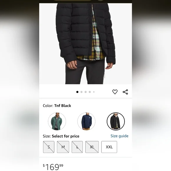 Men's North face coat